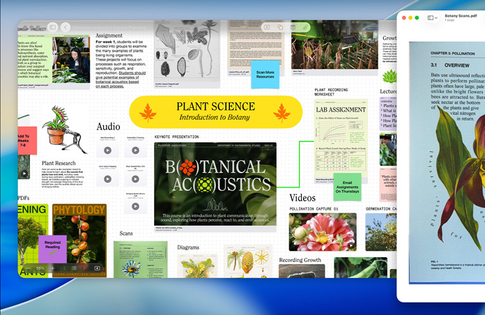 Een Freeform-bord over plantkunde op Mac met audio, video’s en research, met ernaast een Voorvertoning-venster met een pdf, om te demonstreren hoe makkelijk je productief kunt zijn