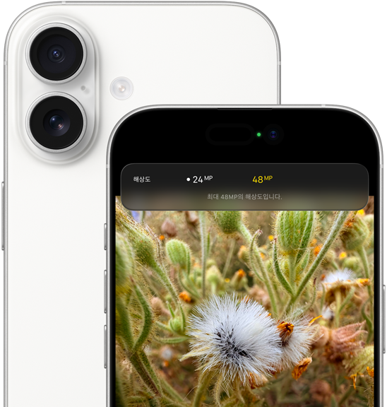 화이트 색상 iPhone 17. 둥근 형태의 모서리와 왼쪽 상단의 듀얼 Fusion 카메라 시스템이 보이는 뒷면, Dynamic Island와 둥근 형태의 모서리가 보이는 앞면.