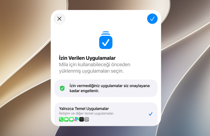 Bir ebeveyn veya vasinin Çocuk Hesabı için uygulamaları inceleme ve onaylama yetkisini gösteren Ayarlama Yardımcısı ekranı.