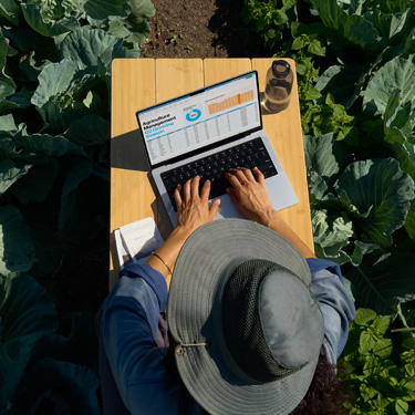 Una vista dall’alto di una donna con un cappello a tesa larga che lavora a una presentazione aziendale su un MacBook, seduta a un tavolo in un giardino.