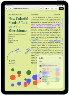 App Pages en un iPad Air