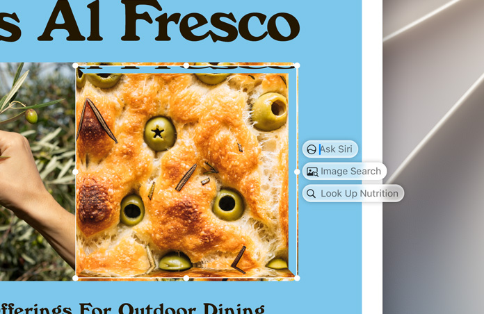 Visual Intelligence, Ask Siri, Image Search, and Nutritional Value boxes appear to the right of a highlighted image of olives baked into focaccia